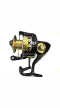 Motor de pesca FISH-30