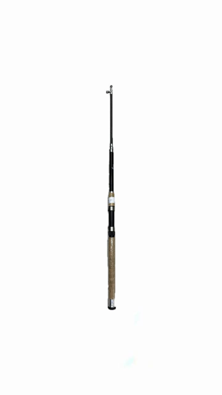 Cana de pescar FISH-C2