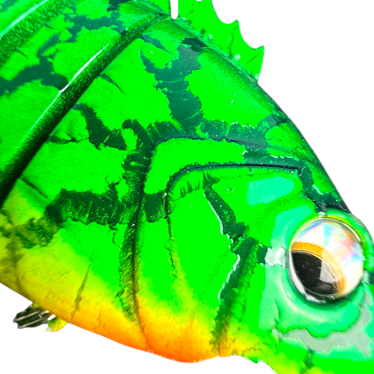 Señuelo articulado tipo swimbait 10 cm FISH-55